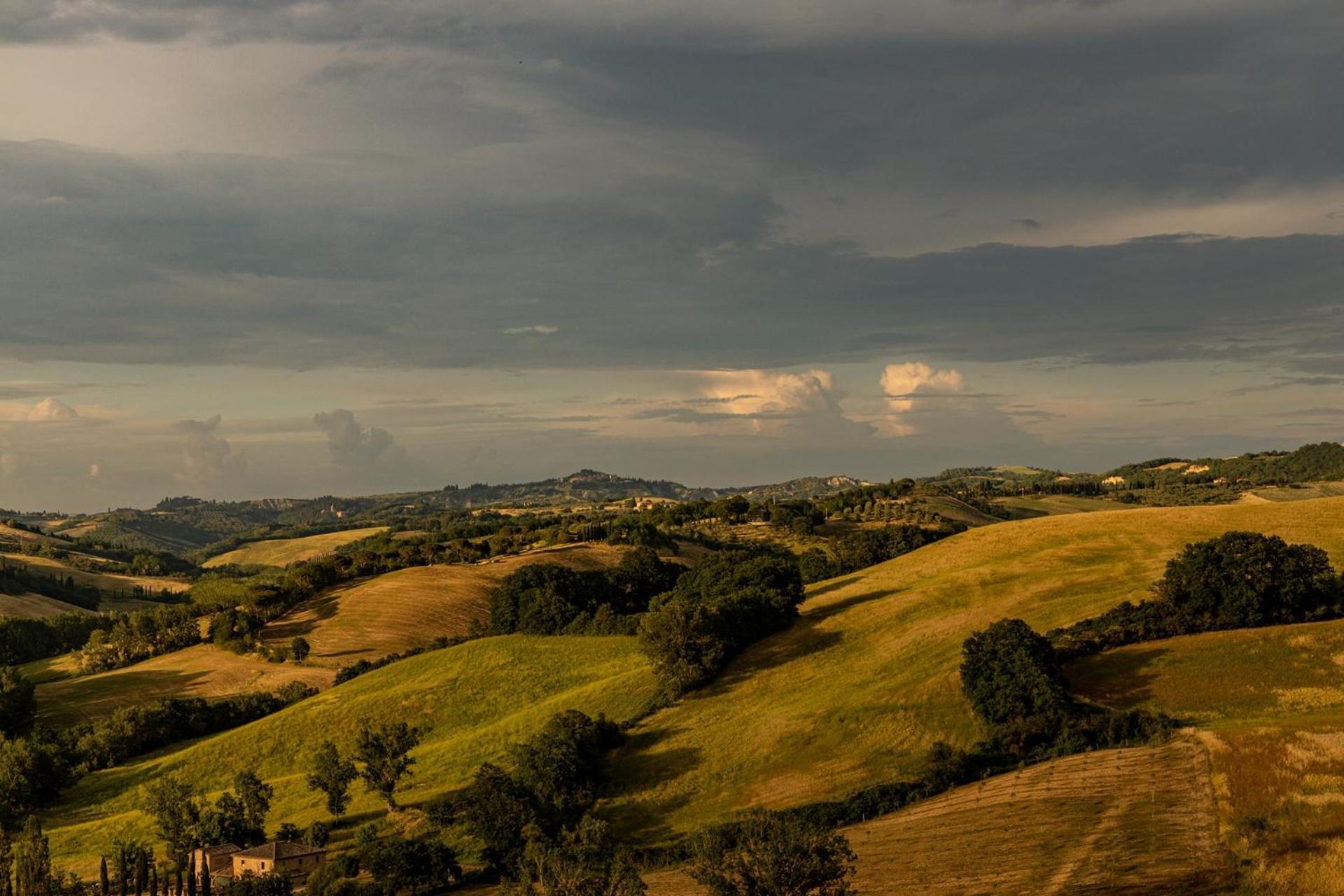 Agriturismo Percenna Buonconvento Dış mekan fotoğraf