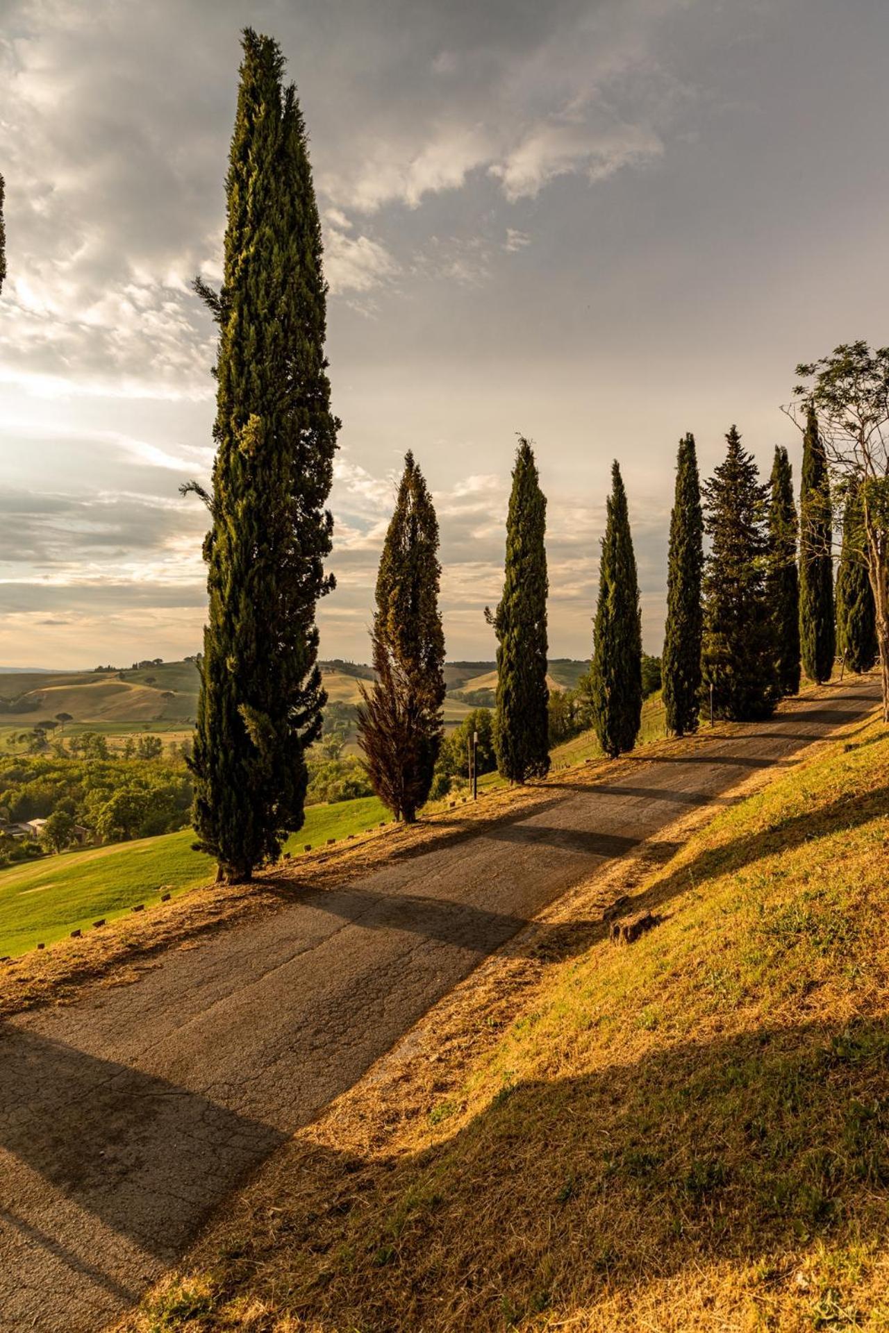 Agriturismo Percenna Buonconvento Dış mekan fotoğraf