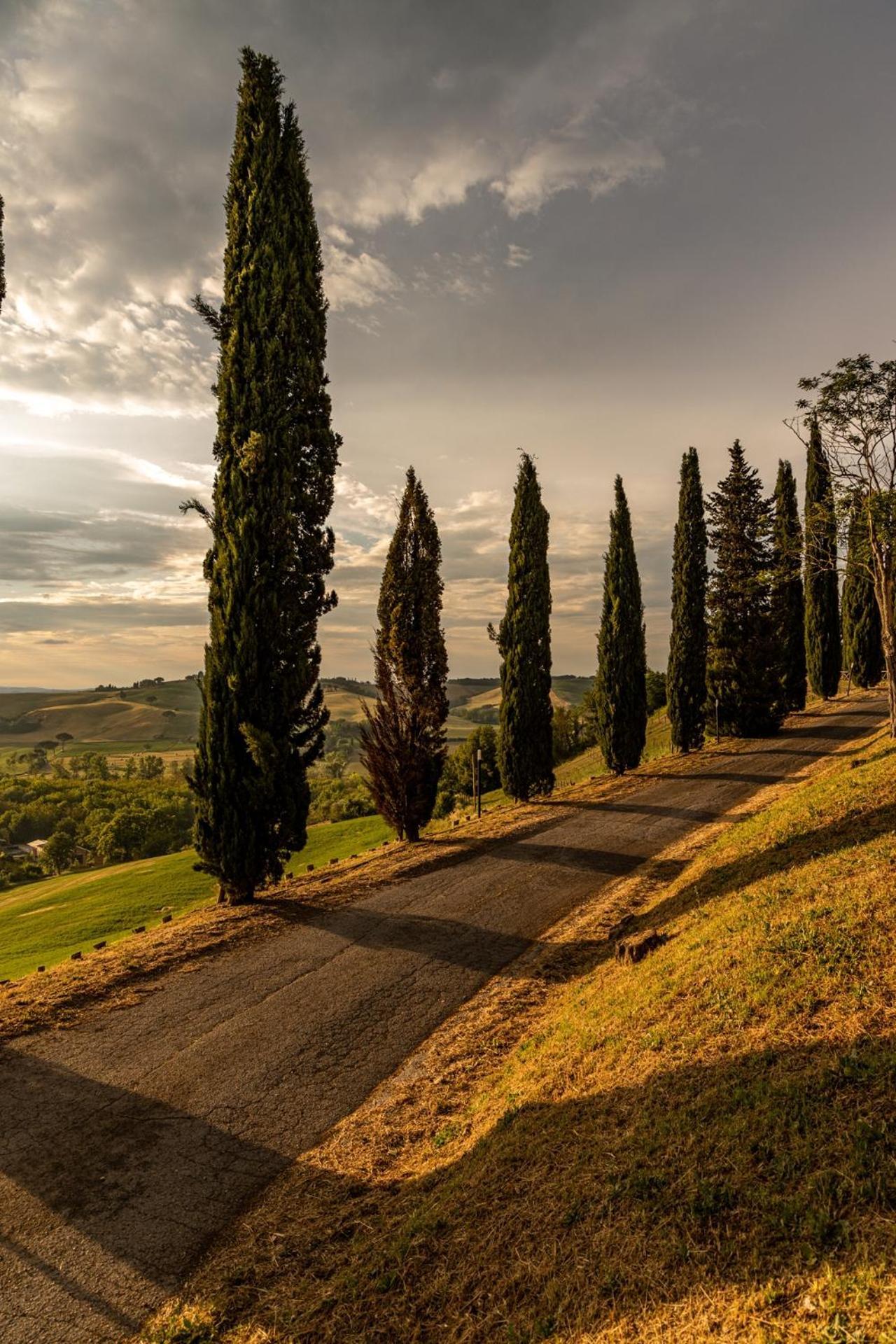 Agriturismo Percenna Buonconvento Dış mekan fotoğraf