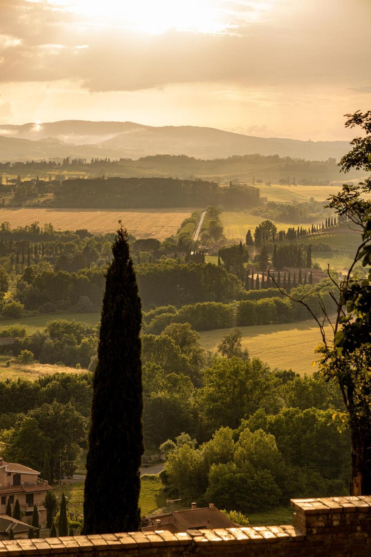 Agriturismo Percenna Buonconvento Dış mekan fotoğraf