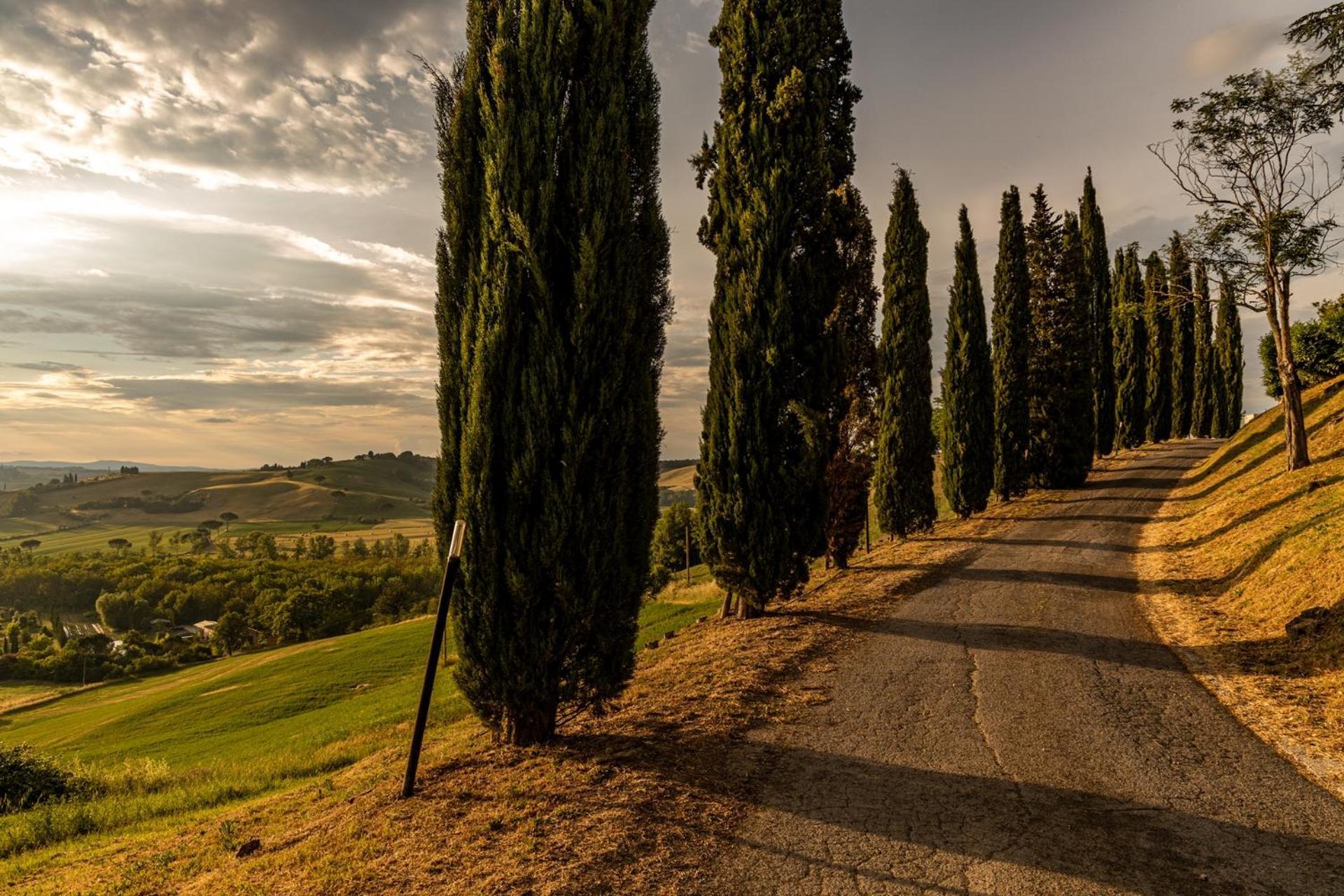 Agriturismo Percenna Buonconvento Dış mekan fotoğraf