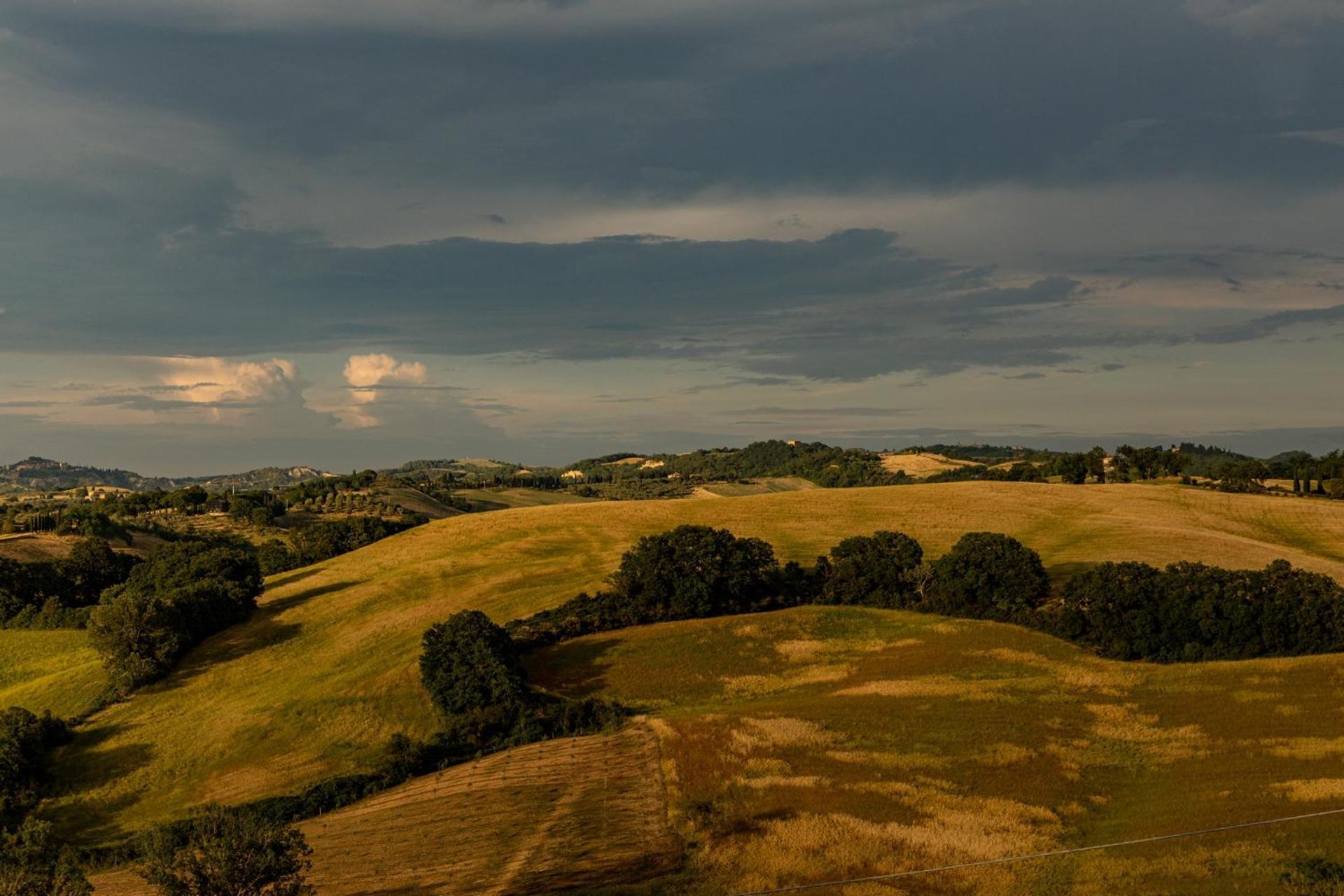 Agriturismo Percenna Buonconvento Dış mekan fotoğraf