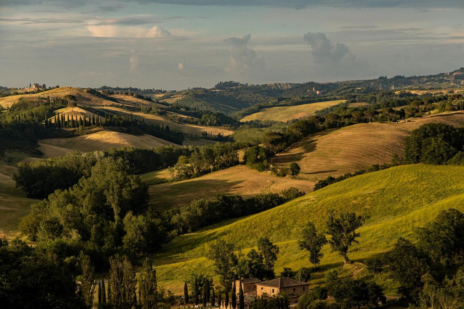 Agriturismo Percenna Buonconvento Dış mekan fotoğraf